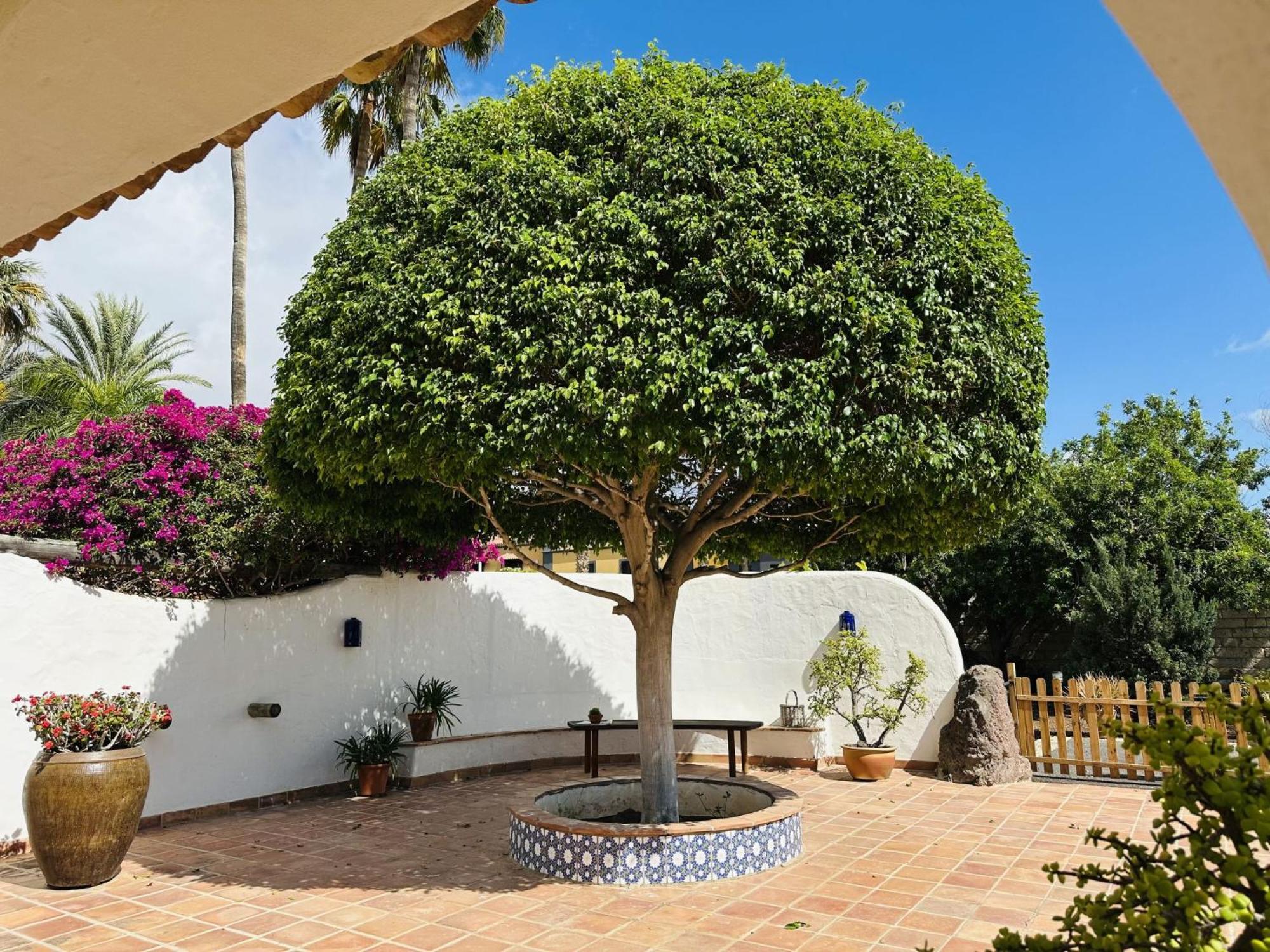 Villa Finca Ingala By Interhome Costa Adeje  Bagian luar foto